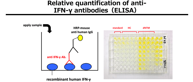 Figure:Relative quantification of anti-IFN-γ antibodies(ELISA)